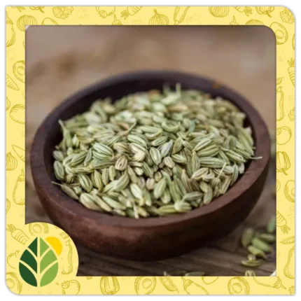 Spices Alshifaa Sources (5)