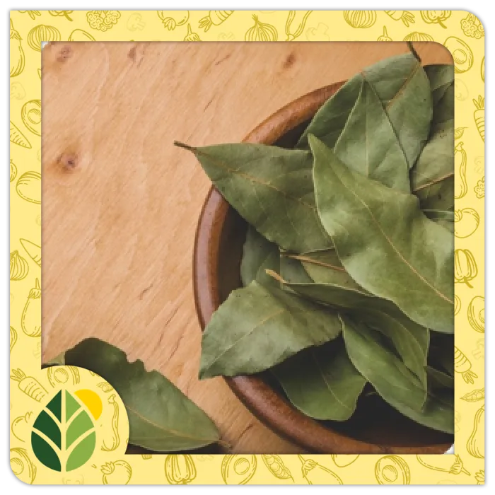 Spices Alshifaa Sources (7) Spices Alshifaa Sources (7)