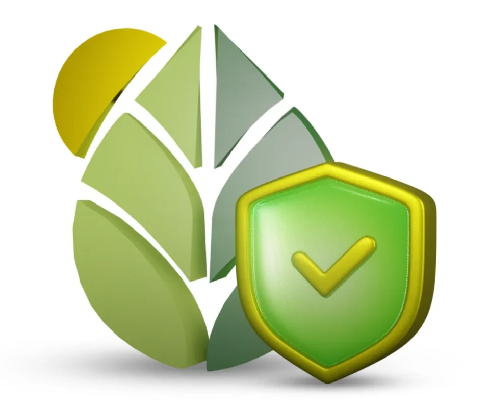 About Alshifaa Sources 3